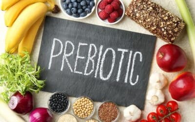 Gut Health and the Mind: How Prebiotics, Probiotics, and Psychobiotics Work Together