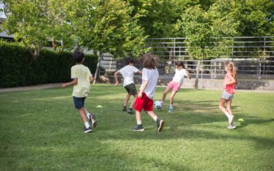 Children/Adolescent Athlete Nutrition