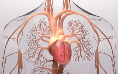 Cardiovascular Outcomes of Weight Loss Medications – What the Evidence Shows for Heart Health