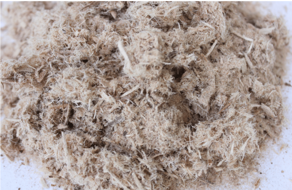Slippery elm bark, dried