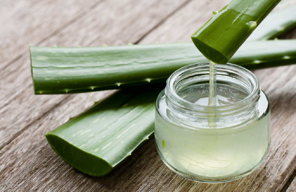 Aloe vera leaf and aloe vera gel on wood table