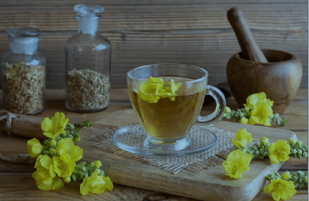 Cup of mullein tea with fresh mullein flowers